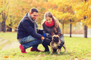 dog sitter